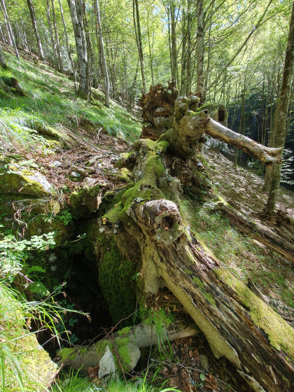 Gouffre du Garro Gouffre du Garro