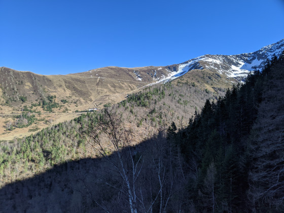 Goulier