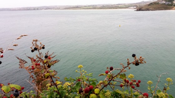 GR 34 à l\'époque des mûres