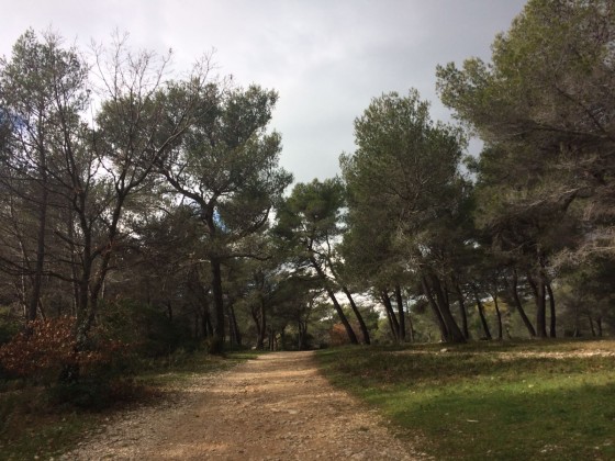 Premier tronçon sur le GR51