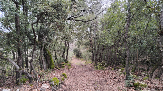 GR51 Plan des Noves