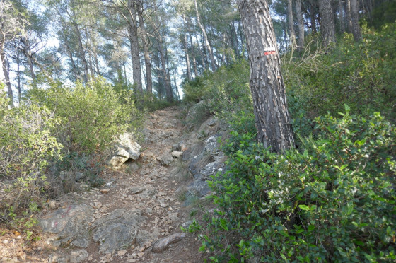 Le GR 51