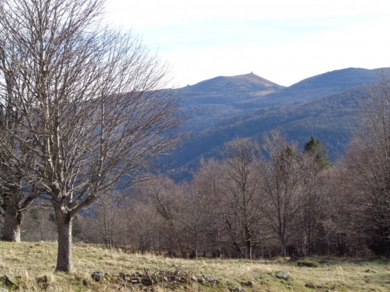 Grand Ballon depuis la chaume d\'Oberlauchen.