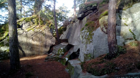 A faire : De Montigny à Thomery par le Long Rocher et la Malmontagne -  Randonnée