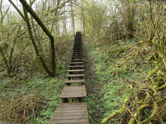 Grand escalier