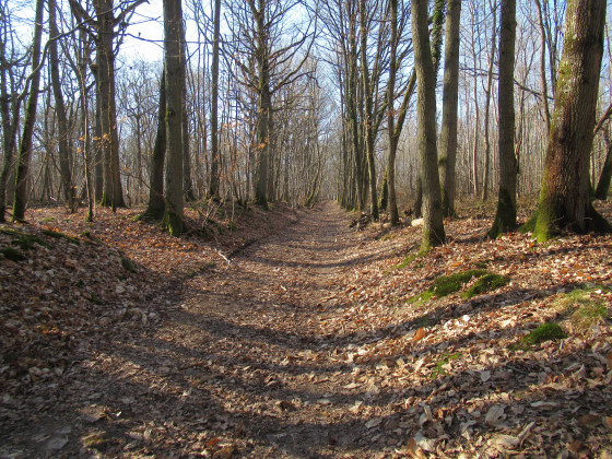 Grand et beau chemin