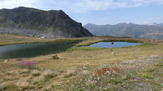Grand lac