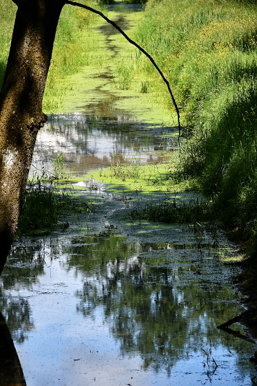 Grand Lit de Rivière Grand Lit de Rivière