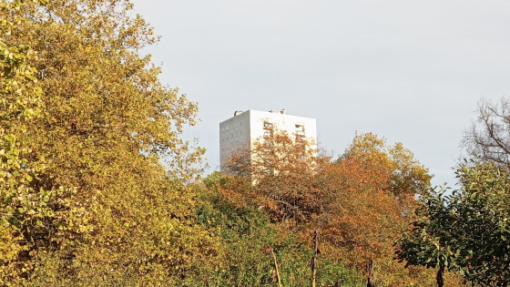 Grand Parc