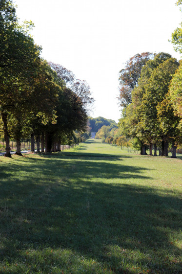Grande all&eacute;e arbor&eacute;e face au ch&acirc;teau de Bouges