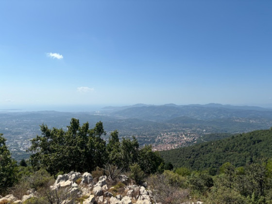 Grasse