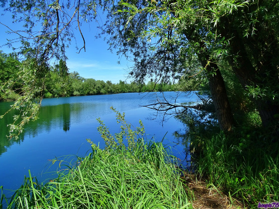 gravière