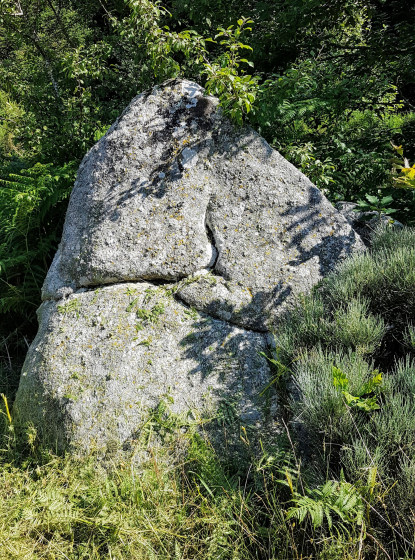 Gravure rupestre