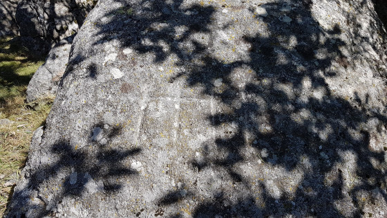 Gravure rupestre