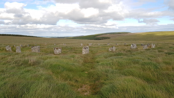 Grey wethers