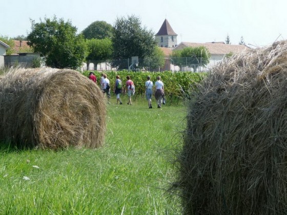 Grezillac