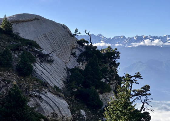 Griffures de l\'Ours