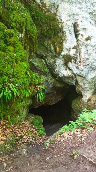 Grotte de Coulzonne