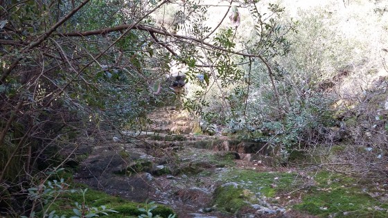 grotte de truebi