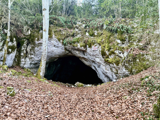Grotte des Bœufs