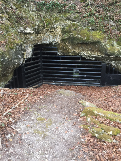 GROTTE