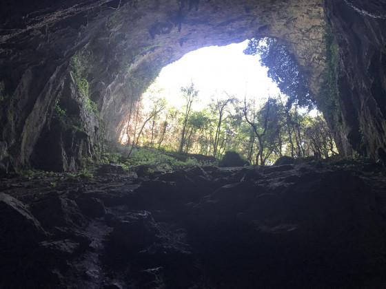 Grotte