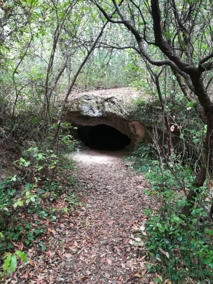 Grotte