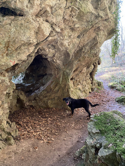 Grottes