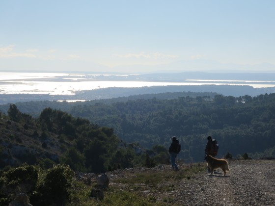 Gruissan les salins