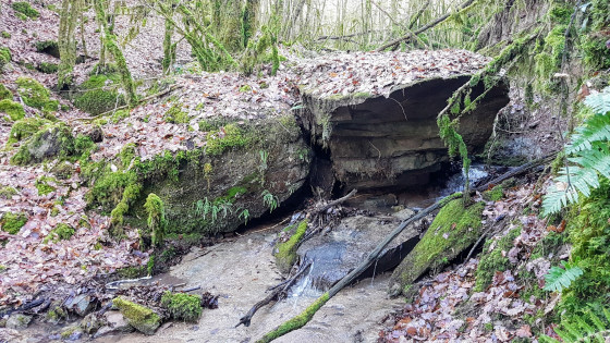 Gué à pied de rochers