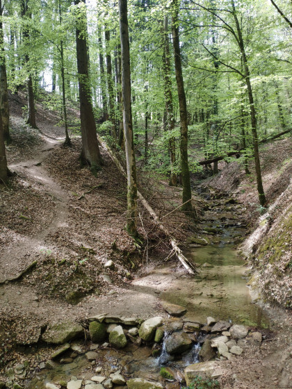 Gué du ruisseau du Genon
