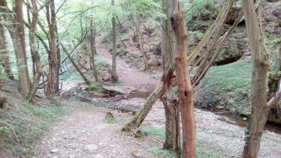 Gué du ruisseau Rolland