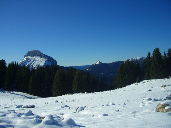 Habert de Pravouta