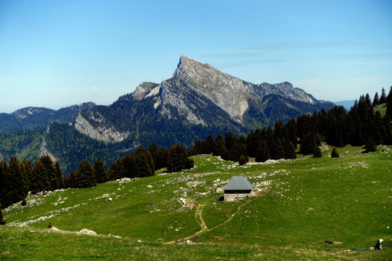 Habert de Pravouta