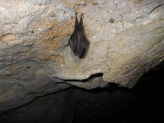 A faire : La Roche Ronde entre Rabat-les-Trois-Seigneurs et Bédeilhac ...