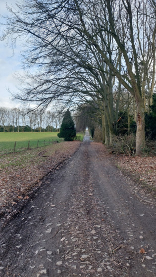 Hall&eacute;e de h&ecirc;tres