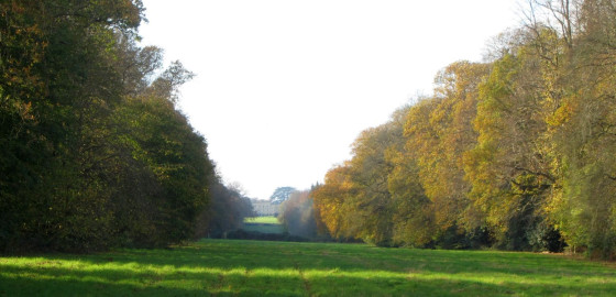 Hamden House viewed up the Glade