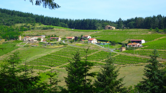 Hameau de Saillant et ferme \