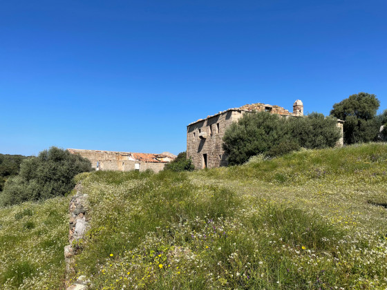 Hameau ruiné de A Testa
