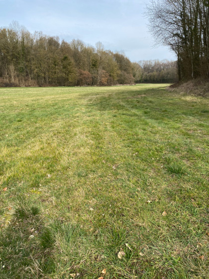 Haut du champ étroit
