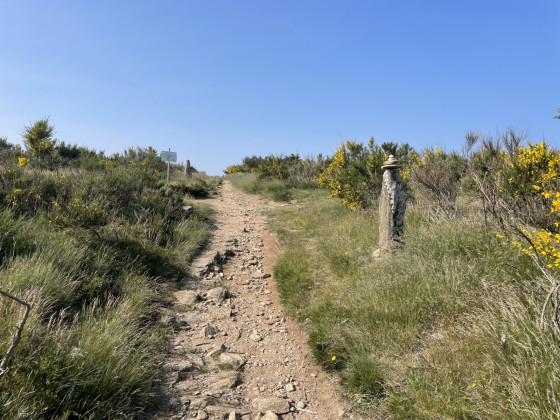 haut du plateau - embranchement