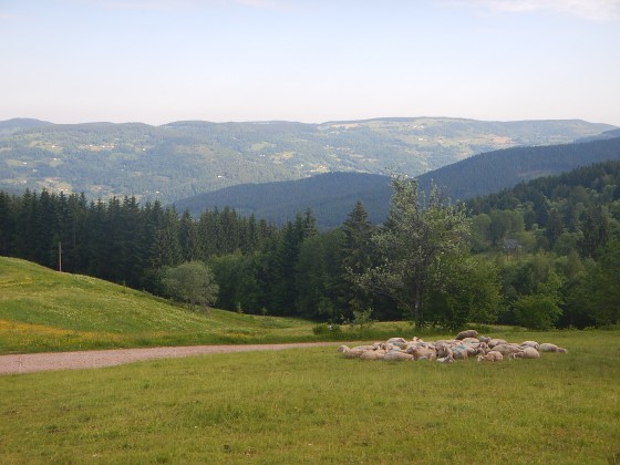 Haut du Riant