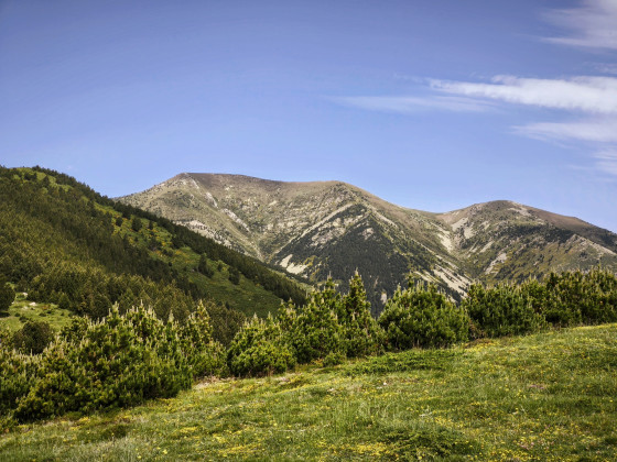 Haut Vallespir
