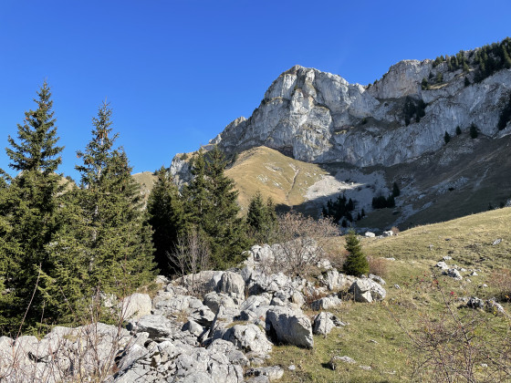 Haute Pointe