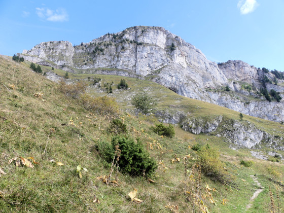 Haute Pointe