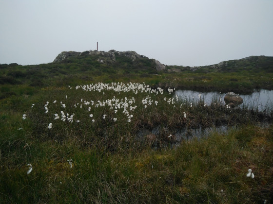 Hay Stacks and Innominate Tarn