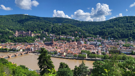 Heidelberg vom Philosophenweg aus