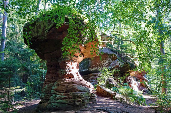 Hexenpilz (links) und Teufelsbrocken (rechts)