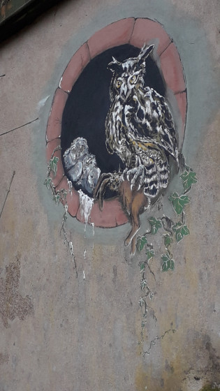 Hibou