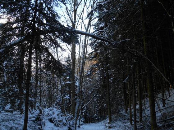 Hiver à l\'ombre